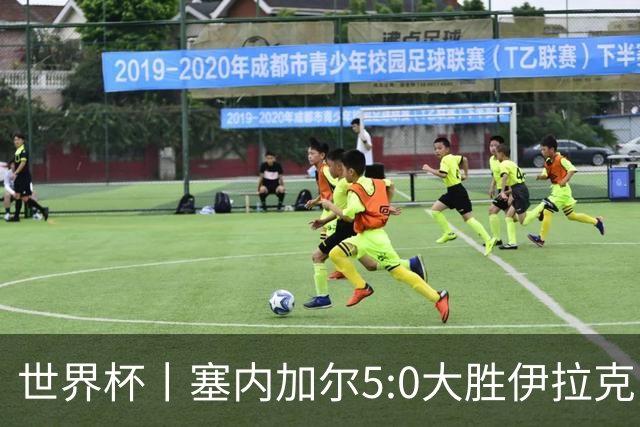 世界杯丨塞内加尔5:0大胜伊拉克 有望凭净胜球优势晋级