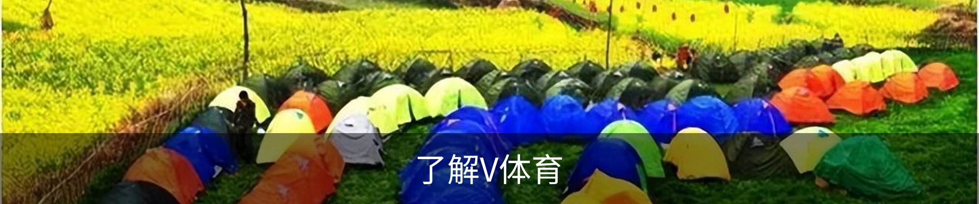 了解V体育