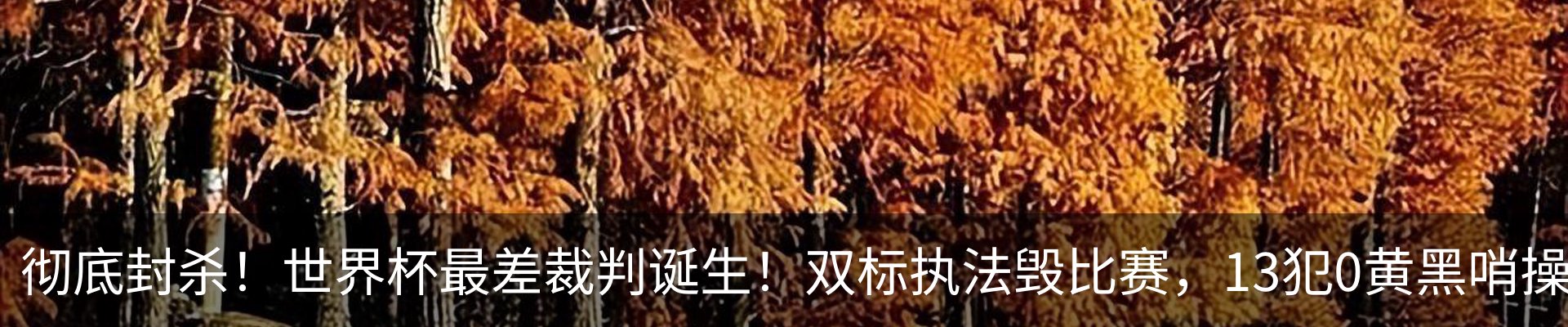 新闻中心