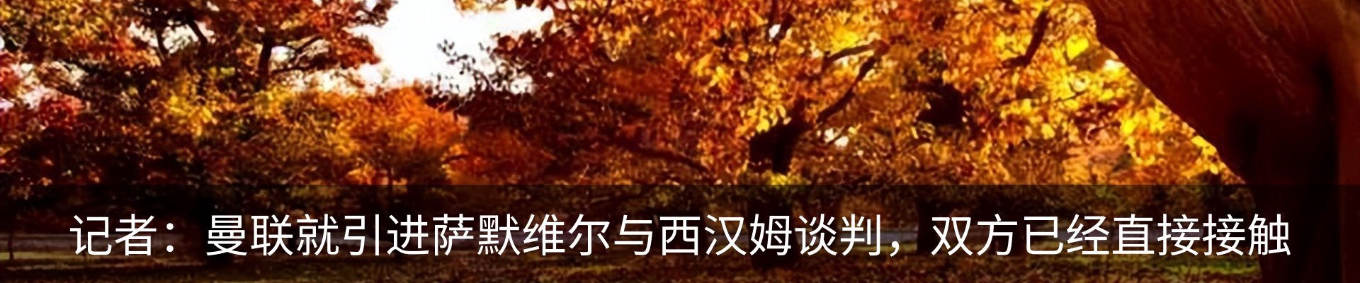 新闻中心
