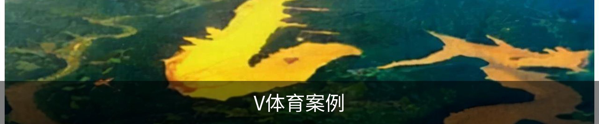 V体育案例